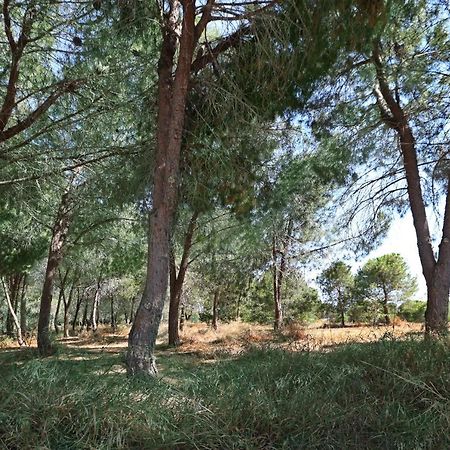 Cozy Holiday Apartment In Larnaca Near Foinikoudes Esterno foto