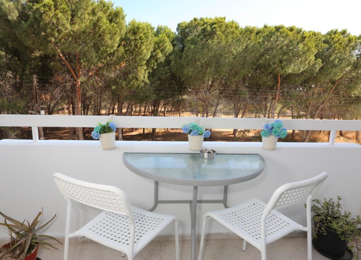 Cozy Holiday Apartment In Larnaca Near Foinikoudes Esterno foto